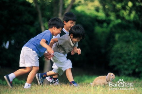 适合男孩学习的特长有哪些 