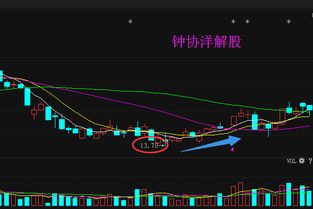 五矿稀土属于蓝筹股吗