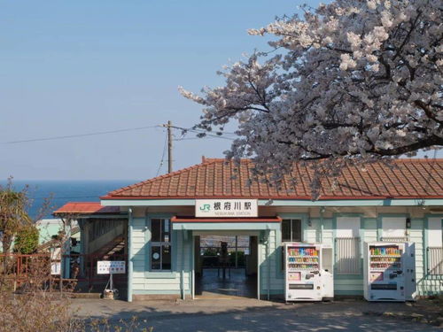 不走寻常路,任静美时光停滞 走近这些绝美的新海诚动画般的日本海边车站