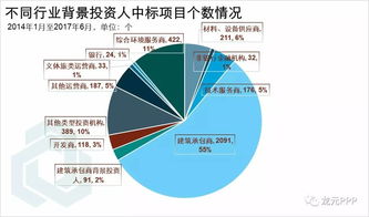 ppp项目(ppp项目是什么意思)