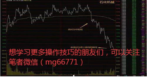 股票历史中国第一张股票是什么,中国2000年最牛的股票