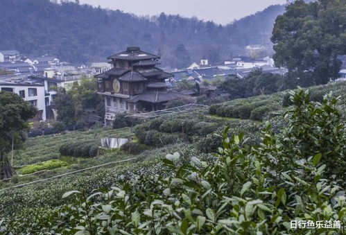 这三个星座,对于自己的形象很注重,很容易在生活中发现美好事物