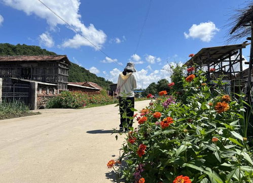 辽宁铁岭铁岭县腰堡镇