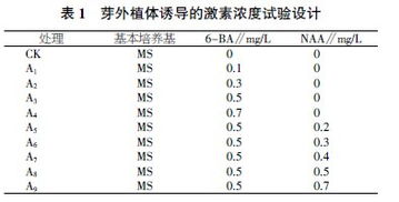 马铃薯培养基毕业论文设计