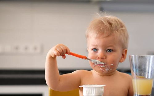 如何教宝宝学会咀嚼 大人的示范以及每周辅食计划很重要