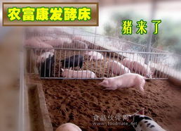 农富康厂家批发制作养猪发酵床专用菌种
