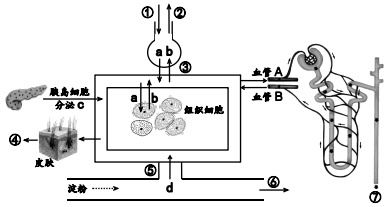 生活中我们常见的转基因生物产品有哪些？