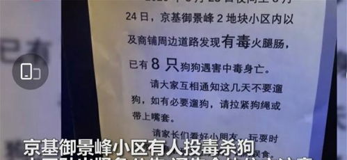 深圳一小区疑现投毒杀狗事件,小区发紧急公告通知业主 拉紧狗绳