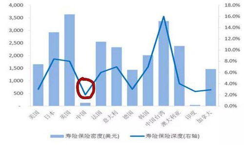 一定要买保险吗 有用吗