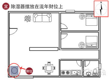 四季风水知识讲解图解(四季海棠的风水寓意与摆放)