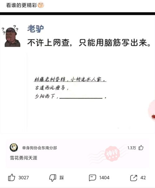 女朋友想改名字,姓龙,有没有推荐的好听文雅一点的