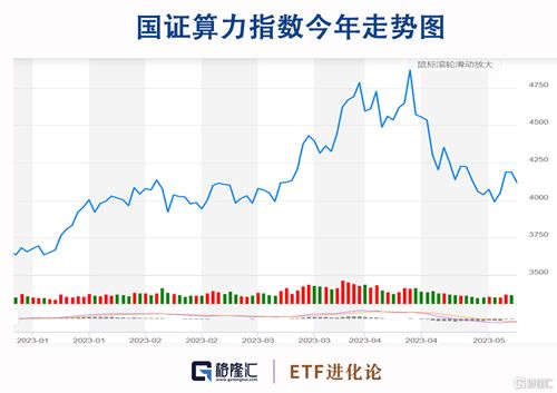 2023年9月10日的D40商品价格更新