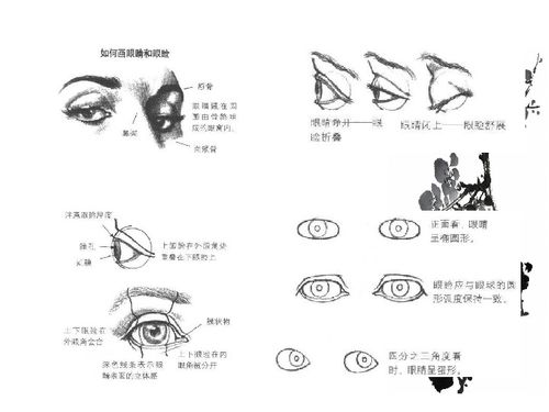 人的五官下载 美术 