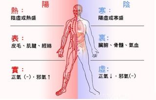 老中医教你看肉类食物寒热性质与体质 