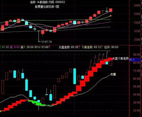 大智慧买盘里怎么判断是撤销了还是成交了