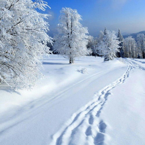 唯美雪景冬季风景图片 米粒分享网 Mi6fx Com