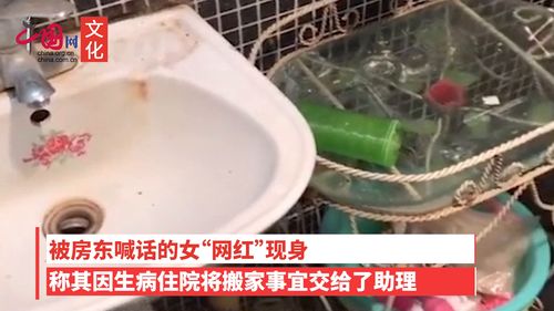 被房东喊话扫狗屎女网红现身 助理未处理妥当,我已获谅解 