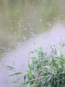 阴天下雨,鱼不咬钩怎么办