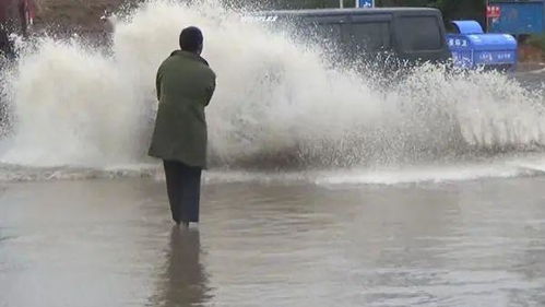 奇了 郑州这段路下雨就能赚钱 雨越大 越 赚钱