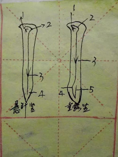 楷书入门笔画图文教程,书法初学者必备