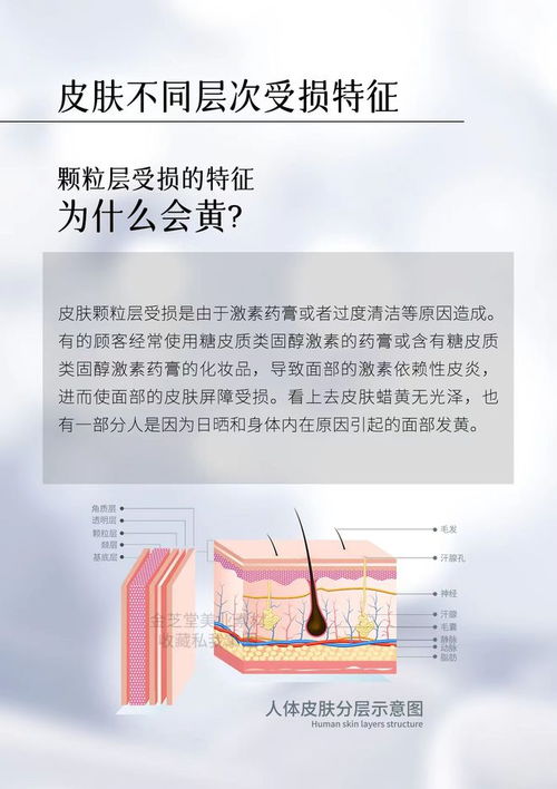 美容院护肤保养文案 小知识海报,直接照搬发圈即可 金芝堂