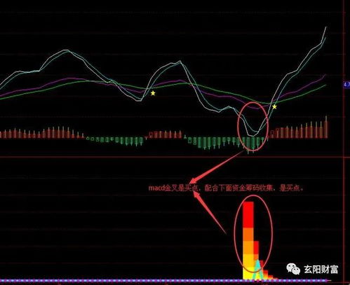 通达信网上交易系统v6v6.12为什么不能申购新股