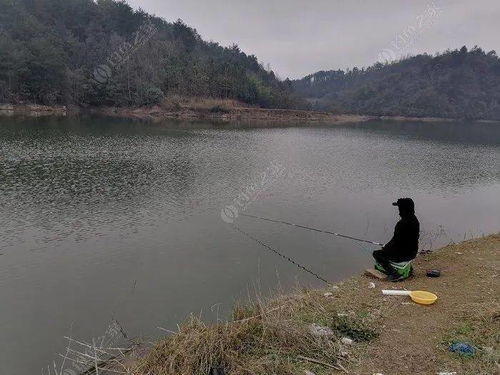 朋友因为钓鱼被离婚 且钓且自律,钓鱼 四不要