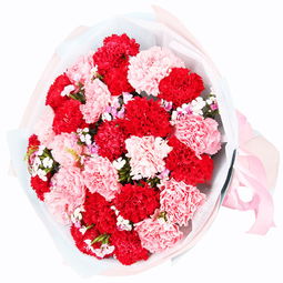 看老师适合送什么花 教师节将至,鲜花代表你的心
