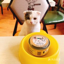 猫小院猫主题餐厅 后海店 的猫罐头好不好吃 用户评价口味怎么样 北京美食猫罐头实拍图片 大众点评 