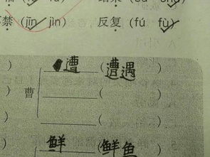 嫌恶的词语解释（嫌字怎么组词？）