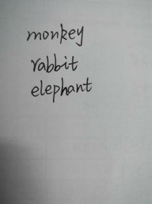 猴子,兔子,大象的英文怎么拼写 