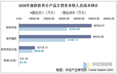 新致软件怎么样