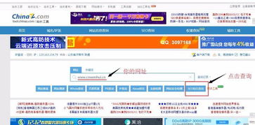 seo优化怎么做?怎样提高网站排名?