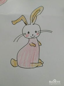 长耳朵兔子简笔画怎么画,怎么画长耳朵的小白兔 