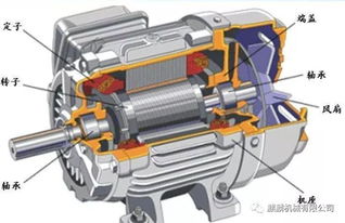 技术 电机轴承运转时温度升高原因和解决方法 