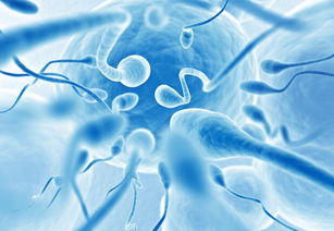 揭秘精子成活率低的10大因素