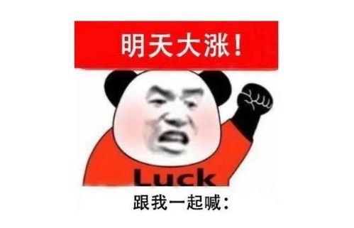 600300这只股明天还会继续涨版吗？感觉今天大户很多！