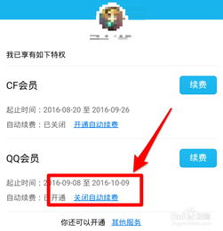 qq会员退订(qq会员如何退订)