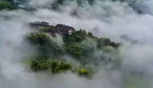 小测试 藏在中国贵州的风水宝地,赤水美得太低调却又很 放肆 你最适合去赤水哪玩 