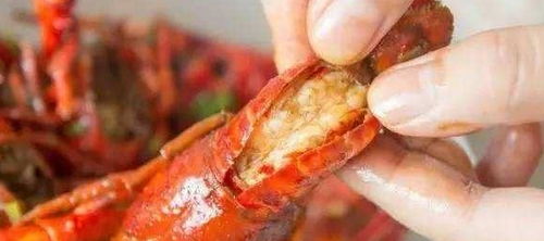 小龙虾不知道怎么吃 老板说明真相 白白浪费那么多肉