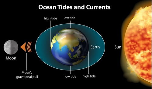 一直说潮汐力在减缓地球自转,为什么现在地球自转却加速了