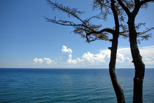 美丽的自然风光，六百字写景作文初一