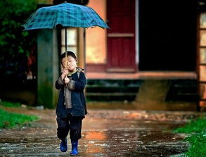 梦见下雨买伞