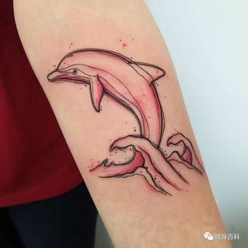 纹身 海豚系列