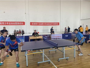 兵团第十五届青少年运动会乒乓球比赛 八师石河子市代表队获混合双打比赛第一名