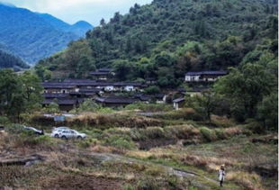 惠州周边这个以石头命名的小村庄,有山峦溪涧,有田园稻穗... 美成了 桃花源