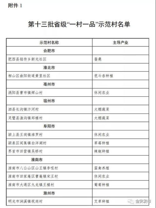 名单公布 金安这个村入选