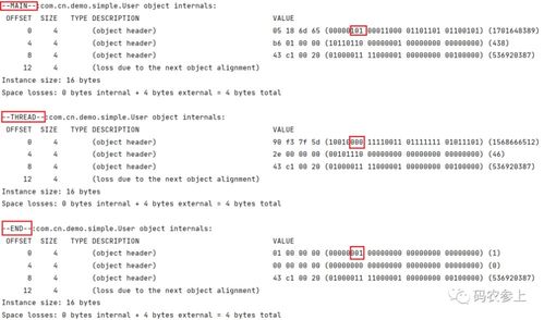 java整型常量有哪三种表示形式