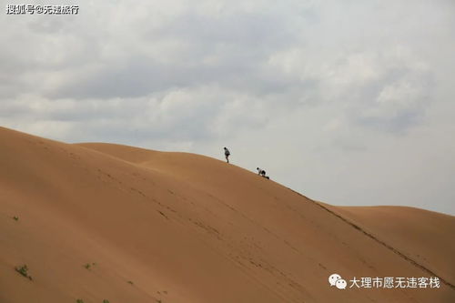 内蒙古库布齐沙漠响沙湾,2个岛游玩足够了 5天4晚3地纪实之三