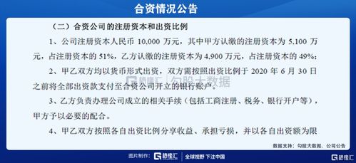 股份里面51%相对裁决权大概拥有什么权利？我49%